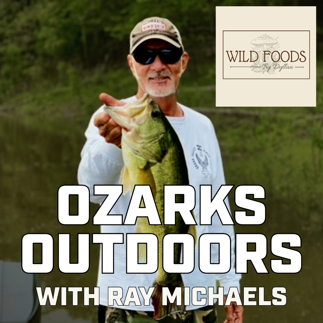Wild Foods By Dyllan  - Mushroom hunting and feasting in the Ozarks