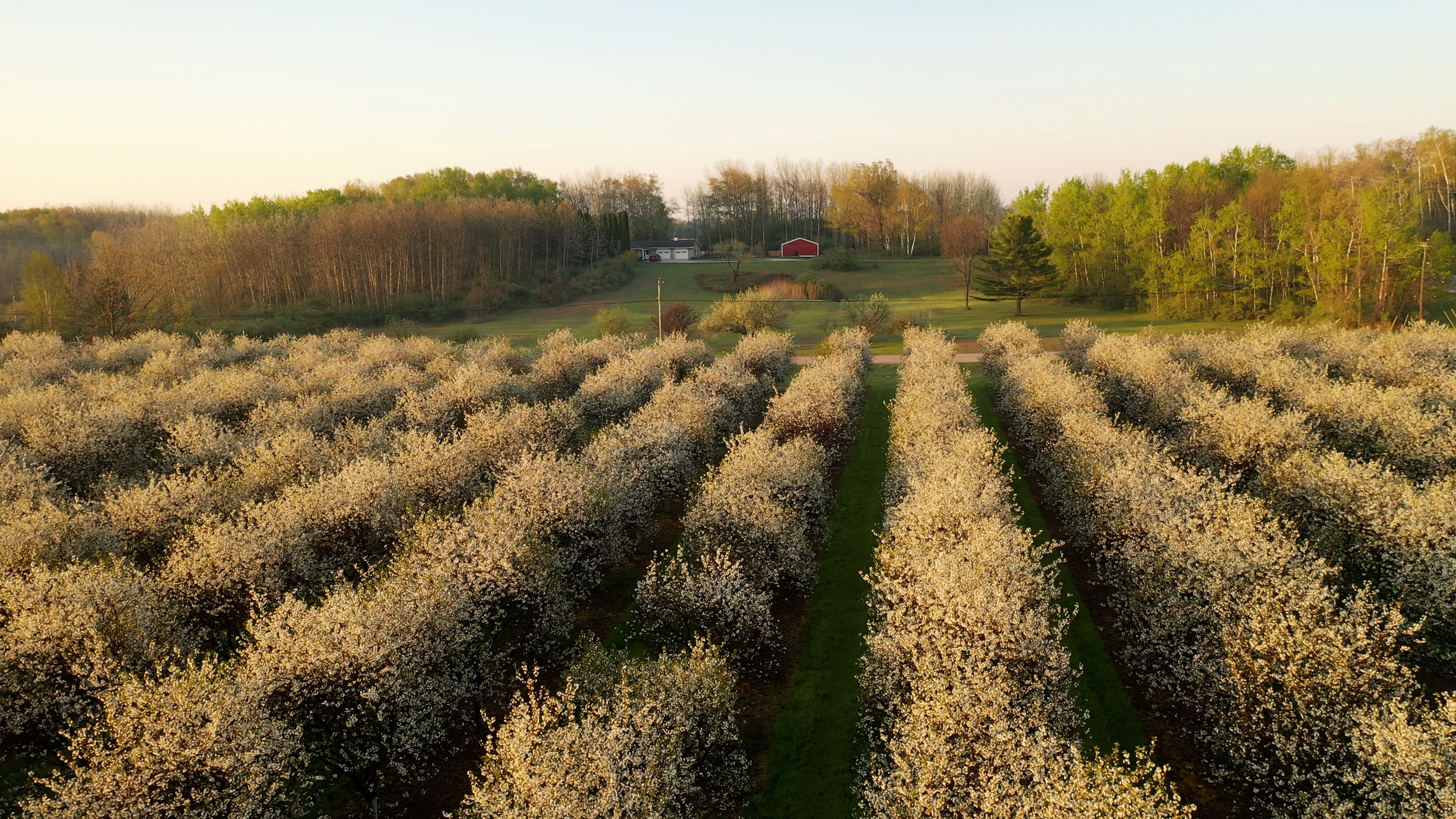 Rain & Humidity -- Not Great For Wisconsin Fruit