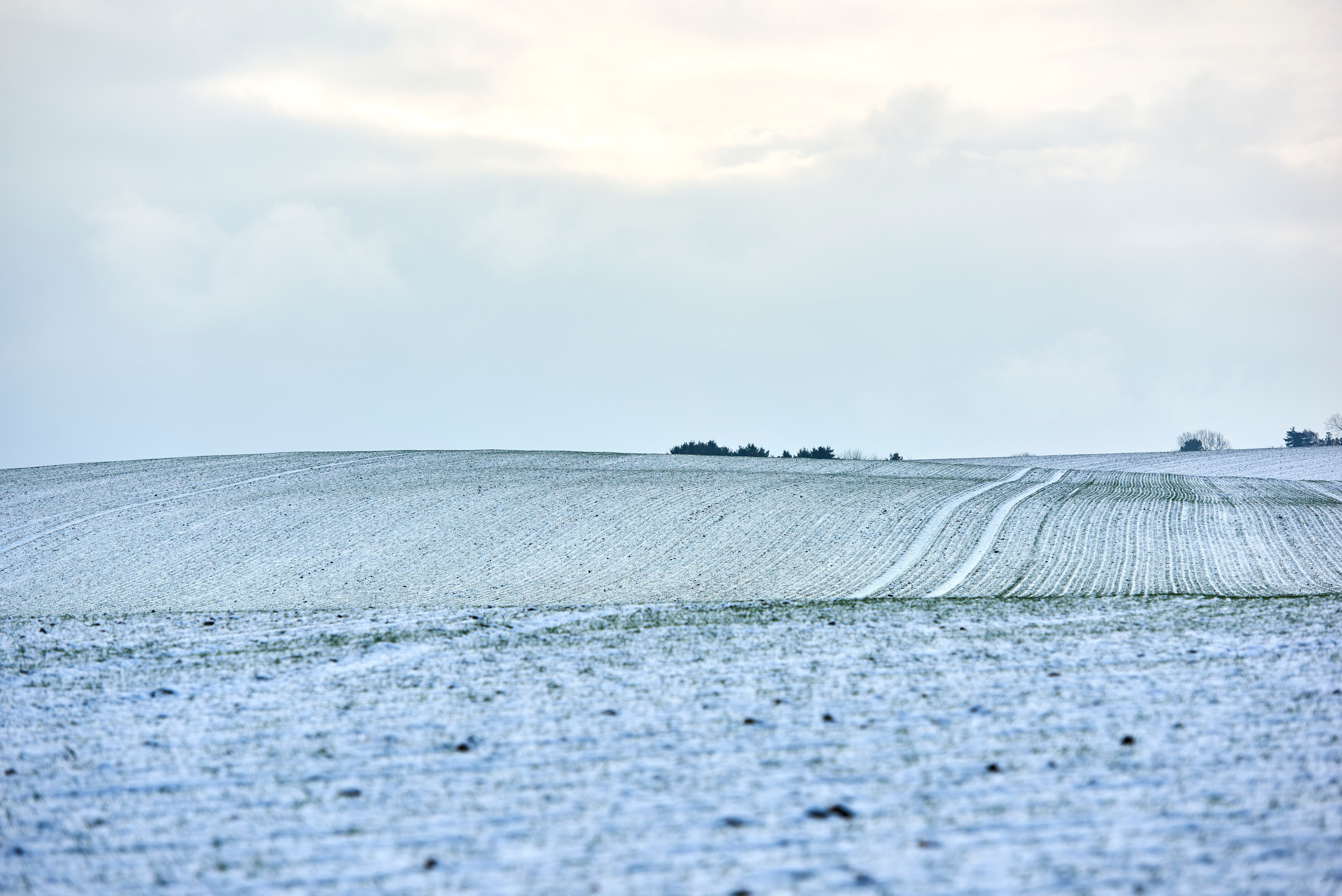 Farmers Advised: Don’t Rely on Last Year’s Winter