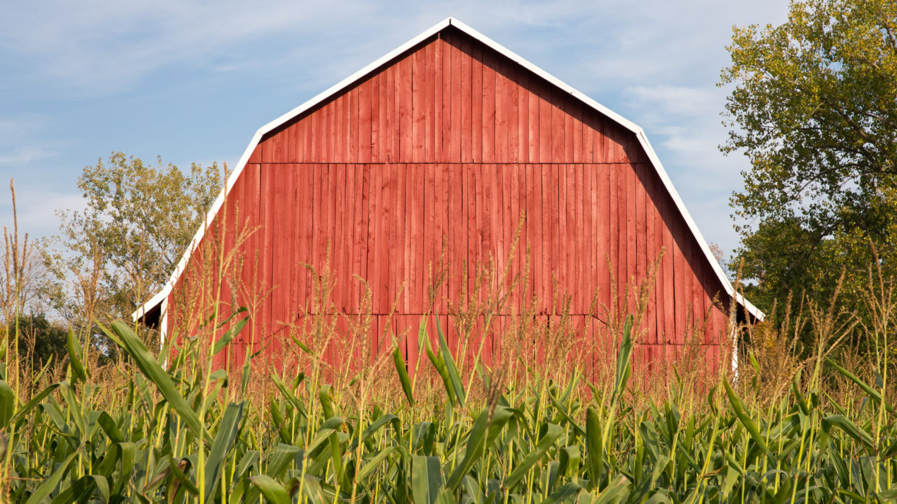 Previewing The 2024 Farm Economy