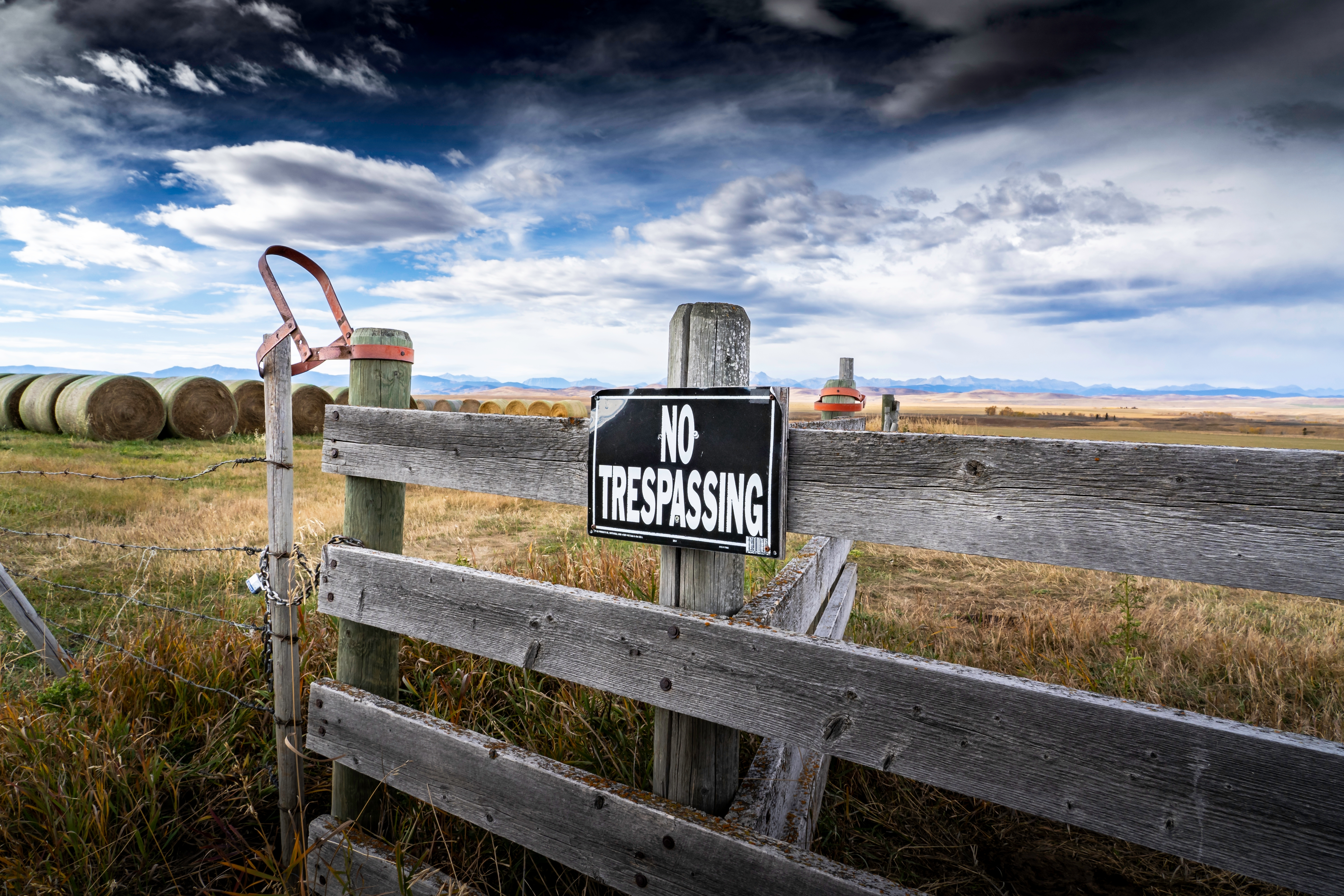 Sheriff's Office Outlines Cattle Theft Investigation & Prevention