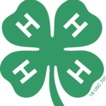 4-H Impact Report Shows 8 Percent Growth Year-Over-Year