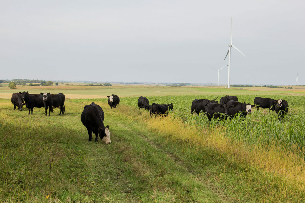 Using Precision Technology In Your Grazing Operation