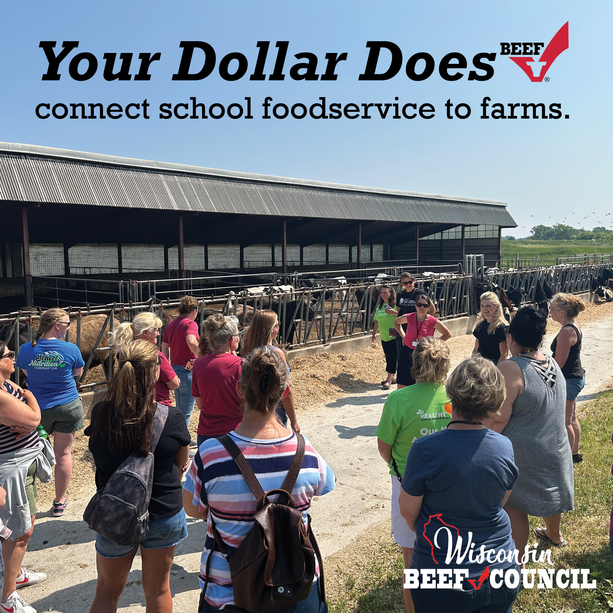 Connecting School Lunches and Local Beef with Checkoff
