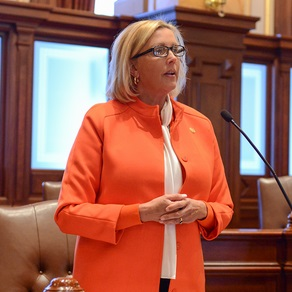 State Senator Sue Rezin [INTERVIEW] - 08/26/2020