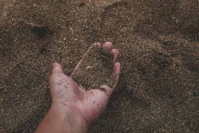 A bunch of morons on TikTok are eating dirt.