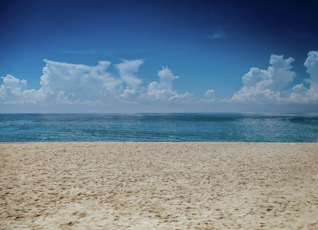 Poop on the beach. Poop on your face.