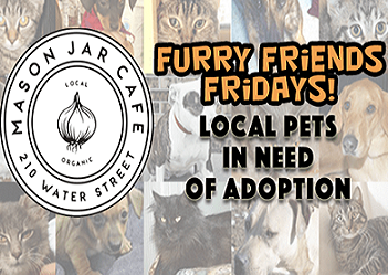 The Mason Jar Cafe Furry Friend of the Week!