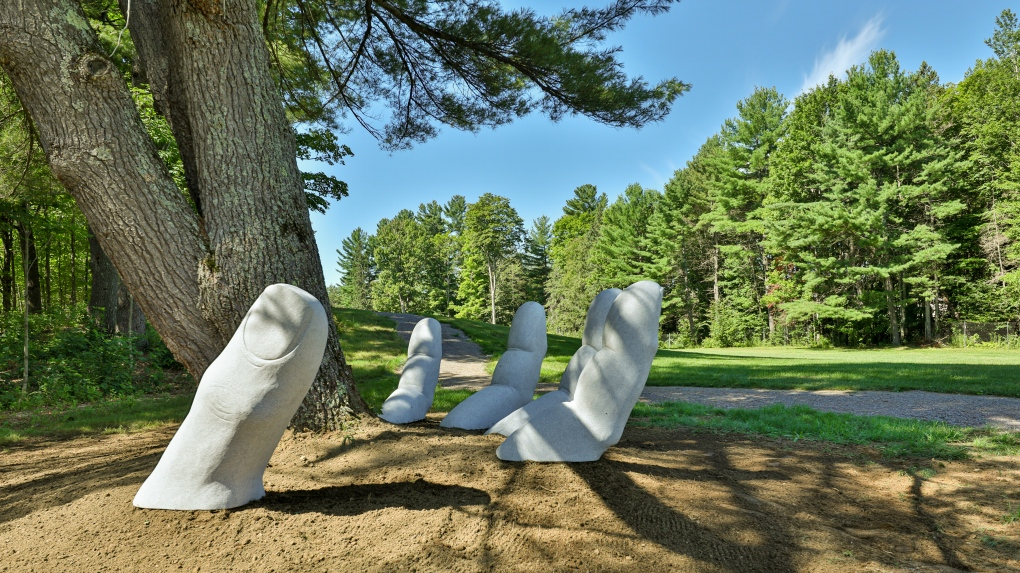 North America's first forest-producing cemetery set to open in Quebec's Laurentians