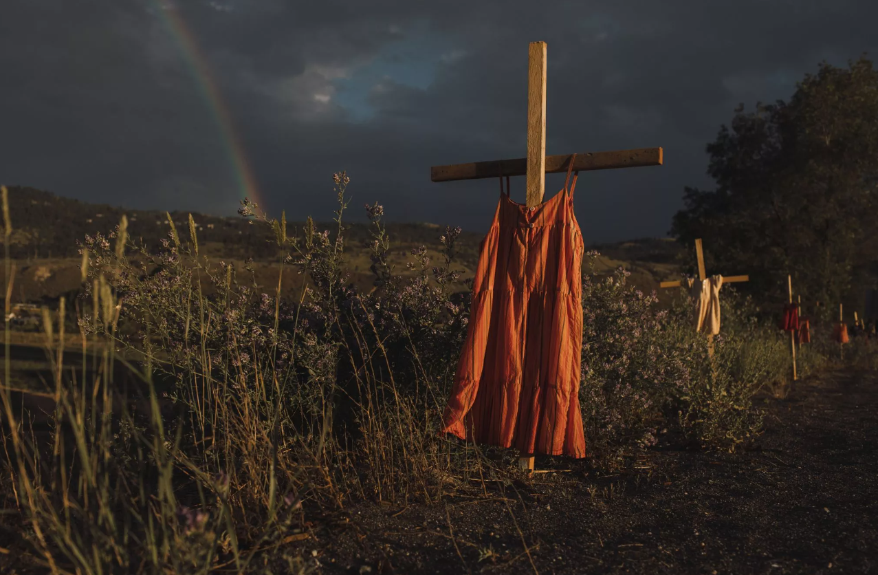 How a Canadian photojournalist captured one of the most captivating photos of the year