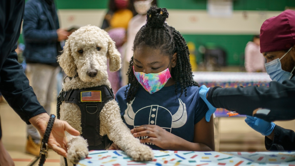 Batshaw Centres is turning to pet therapy for kids in youth protection