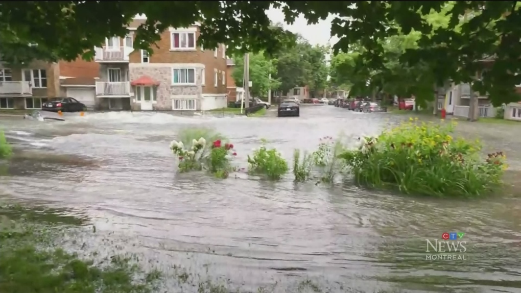 How is D-D-O handling the historic flooding