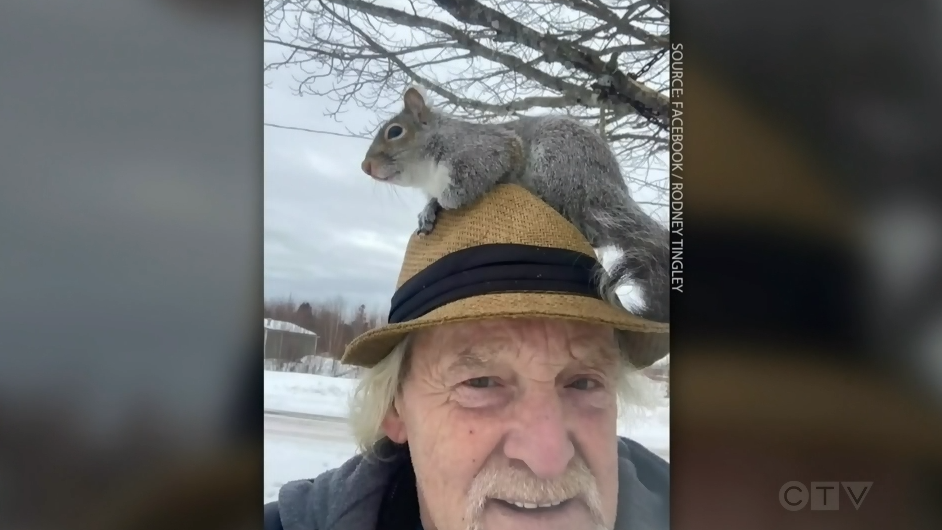 VKS: An unlikely friendship between a New Brunswick man and a squirrel