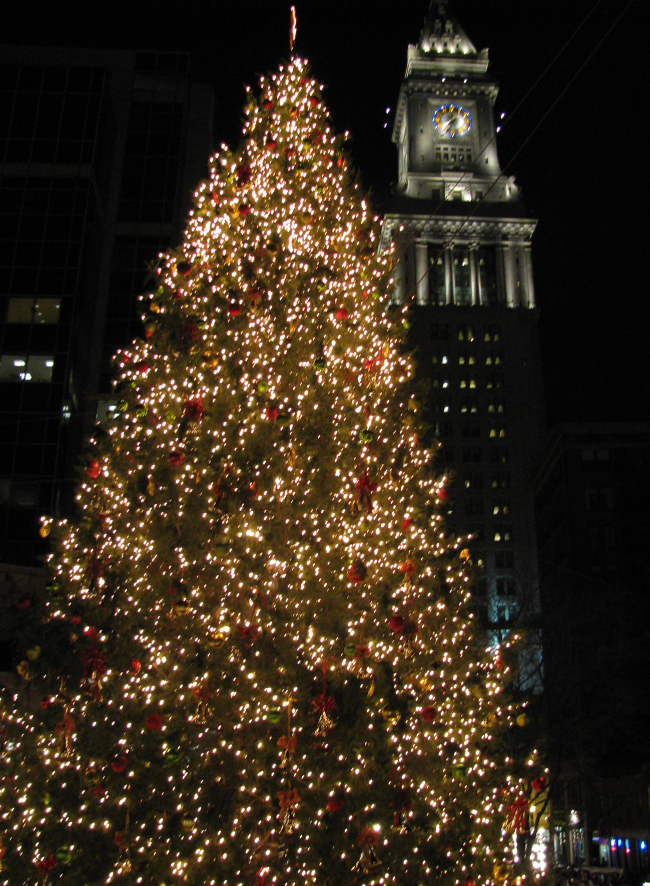 ESS: The Halifax and Boston Christmas tree tradition