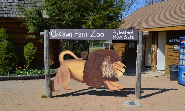 Update: Nova Scotia's Oaklawn Farm Zoo Rumored To Close? Here's The Latest From Owners