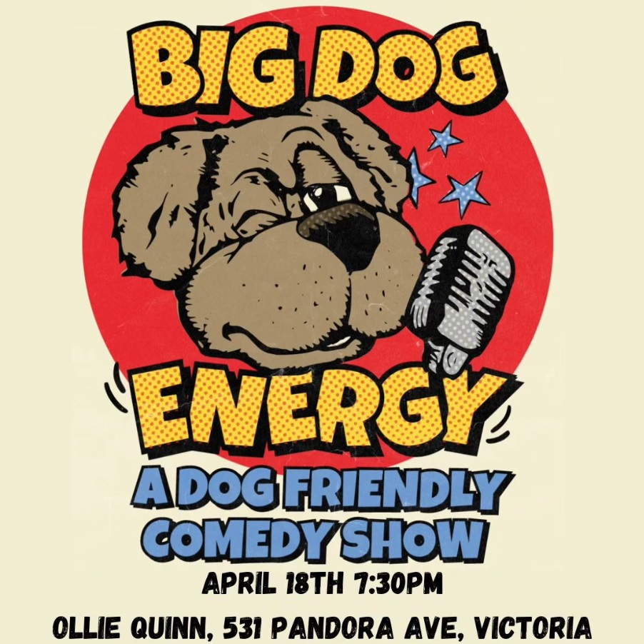 INTERVIEW: Amy Walsh of Big Dog Energy Comedy