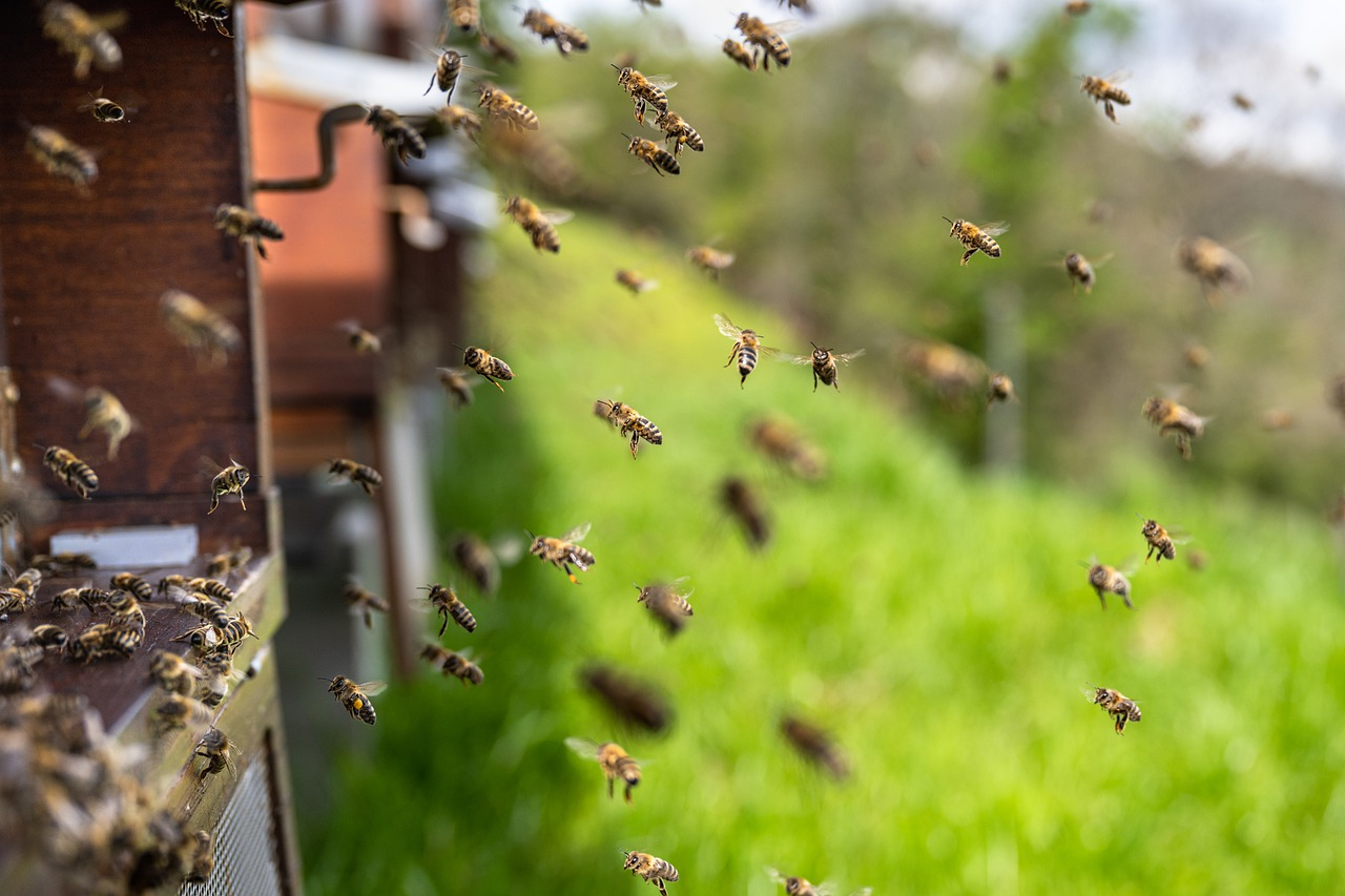 (LISTEN) 2 Parents Checked Their Child's Room For 'Monsters'...But Found 60,000 BEES?!