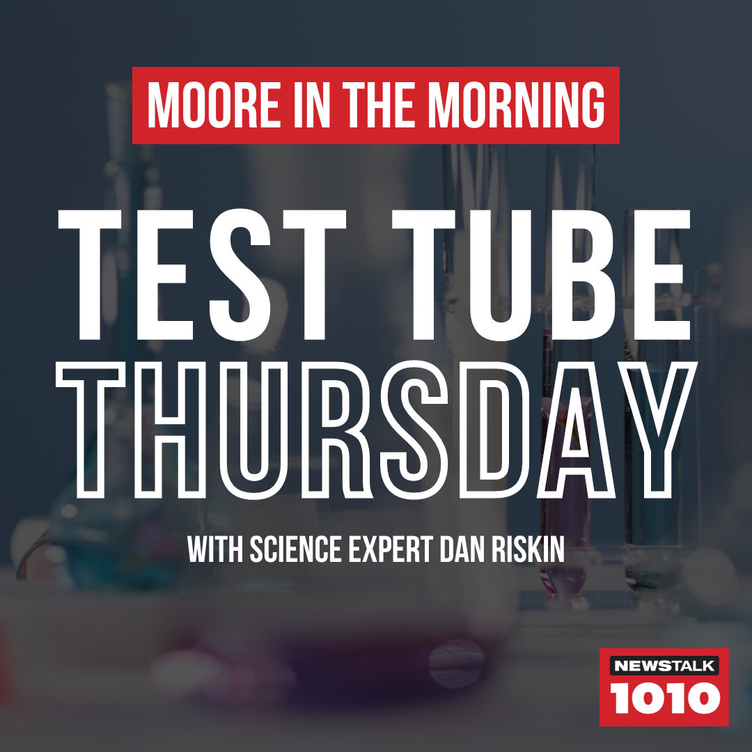 Test Tube Thursdays with NEWSTALK 1010 Science Expert @RiskinDan: Gratitude May Help You Live Longer.