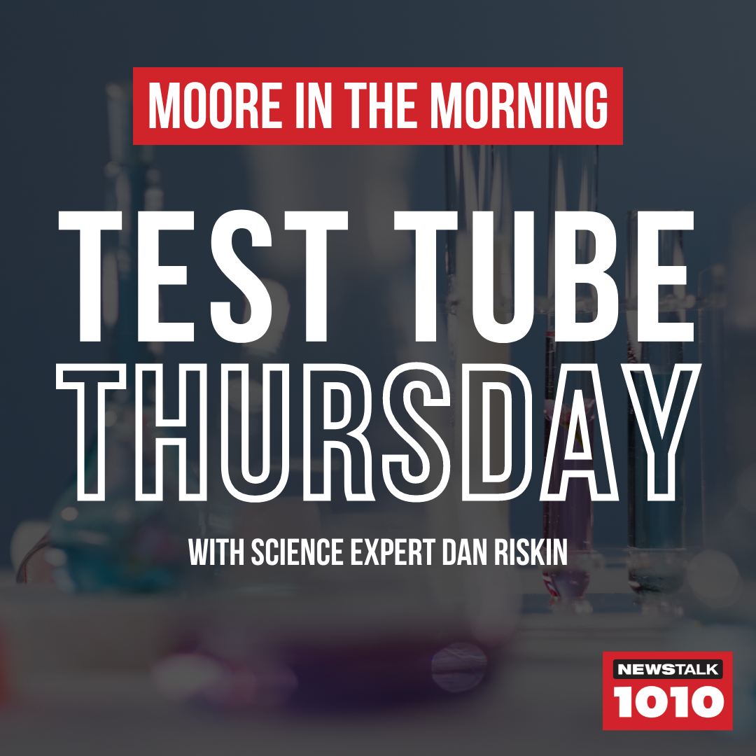 Test Tube Thursdays with NEWSTALK 1010 Science Expert @RiskinDan: Potatoes are better than human blood for making space bricks.