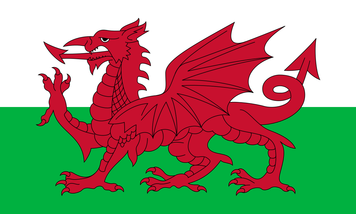 Saint David's Day