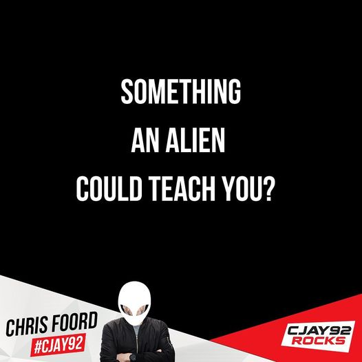 What Could An Alien Teach You - Rockaholics Chime In