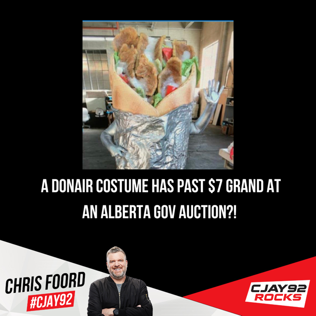 A Donair Costume Has Past $7000 At An Alberta Gov Auction