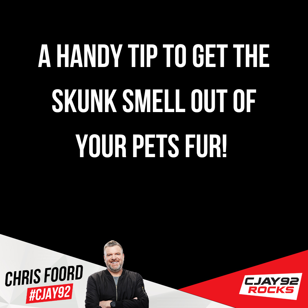 Leah Has A Handy Tip For Getting Skunk Smell Out Of Your Pets Fur