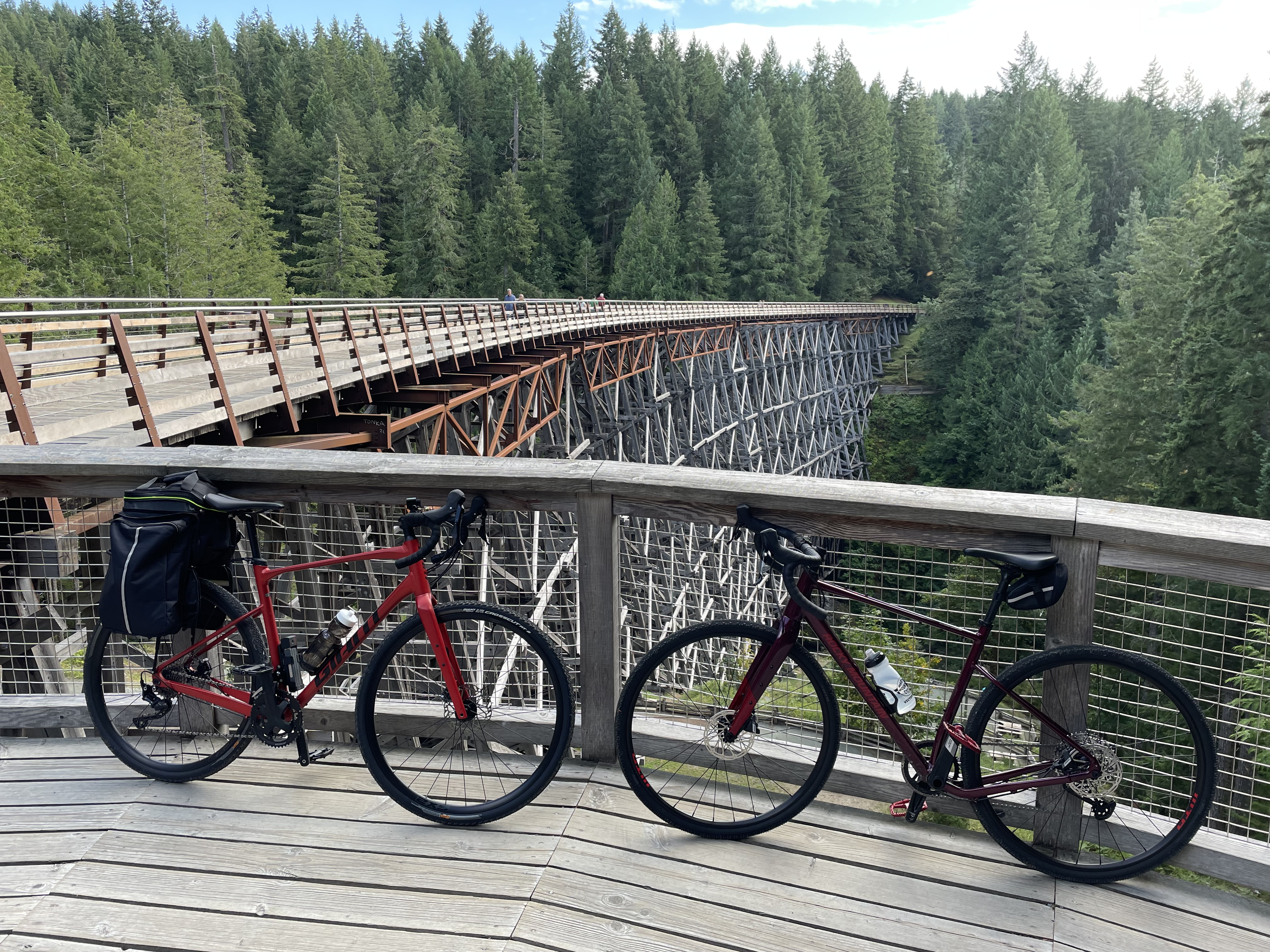 DU 335 Cowichan Valley Wine Tour... on a bicycle