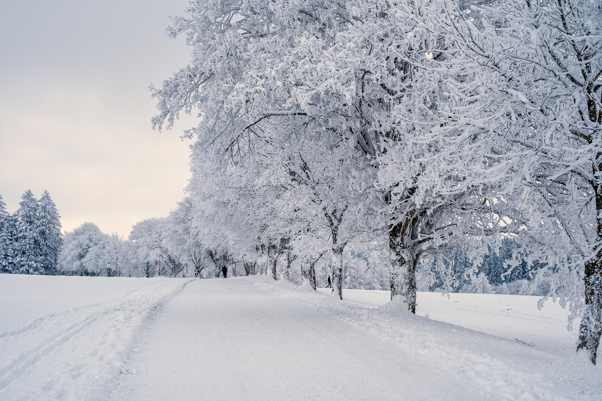 Solstice Celebrations Around The World