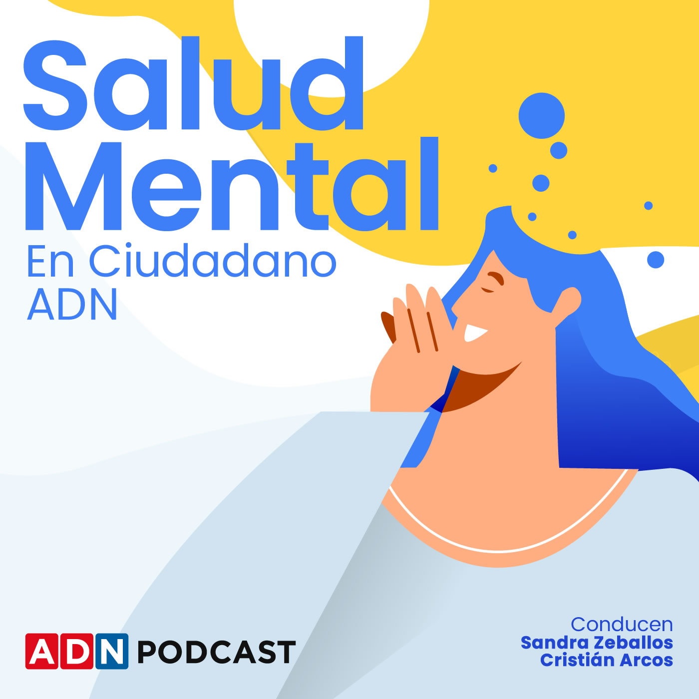 Imagen de Salud Mental y la PAES 2024