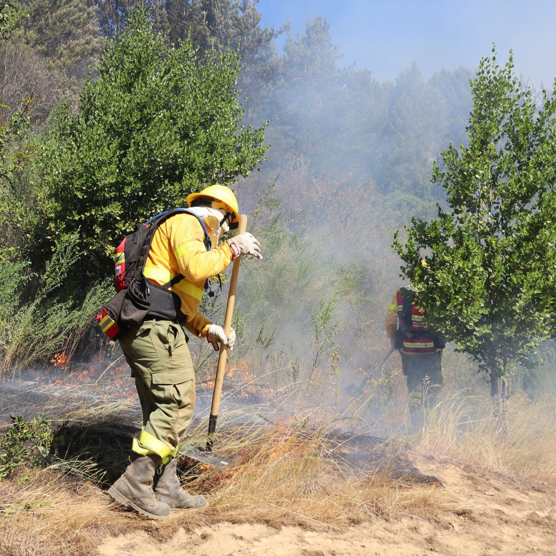 Imagen de Experto y proyecciones de calor: “Vamos a tener rangos entre los 38 y 42 grados fácilmente”