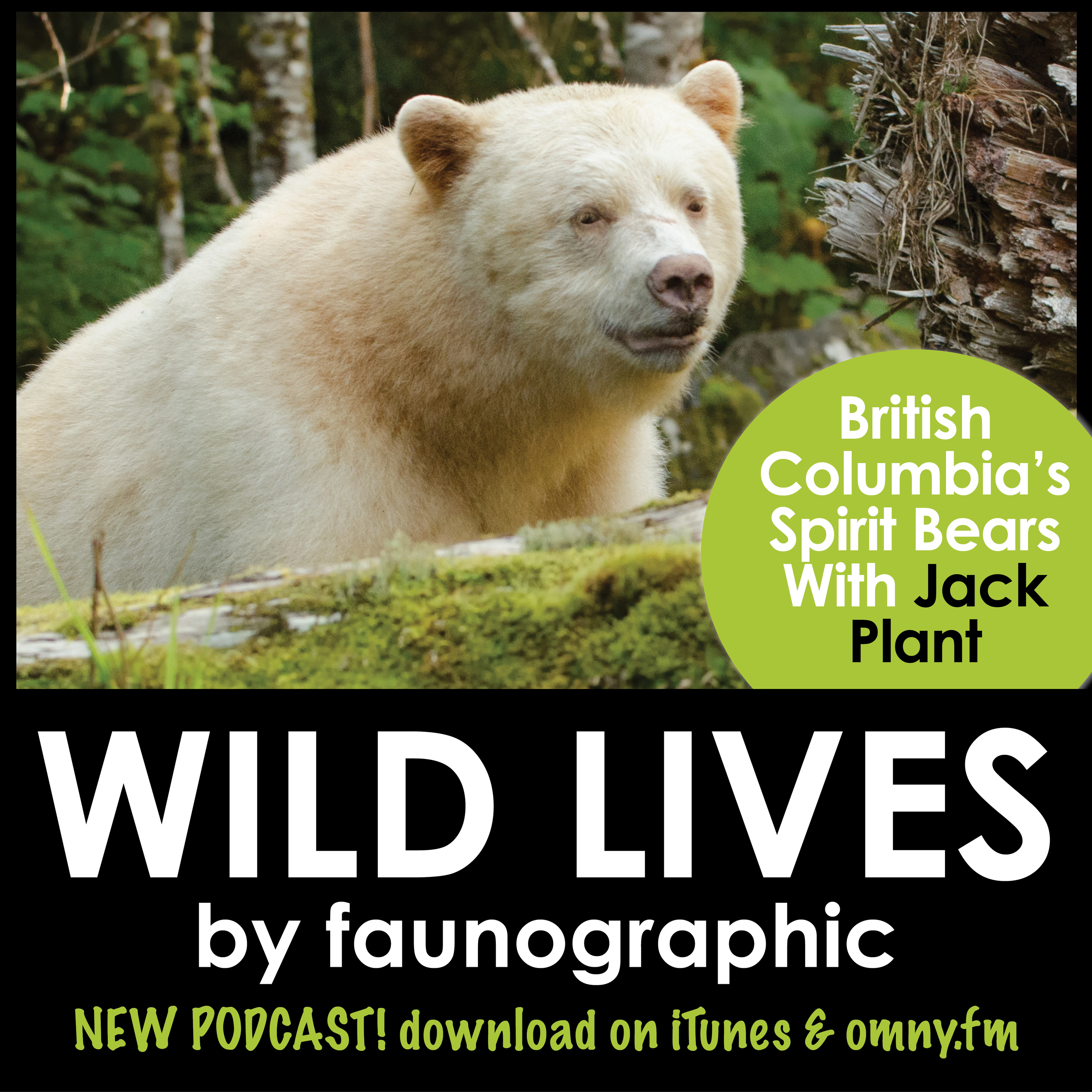 Spirit Bears of British Columbia with Jack Plant
