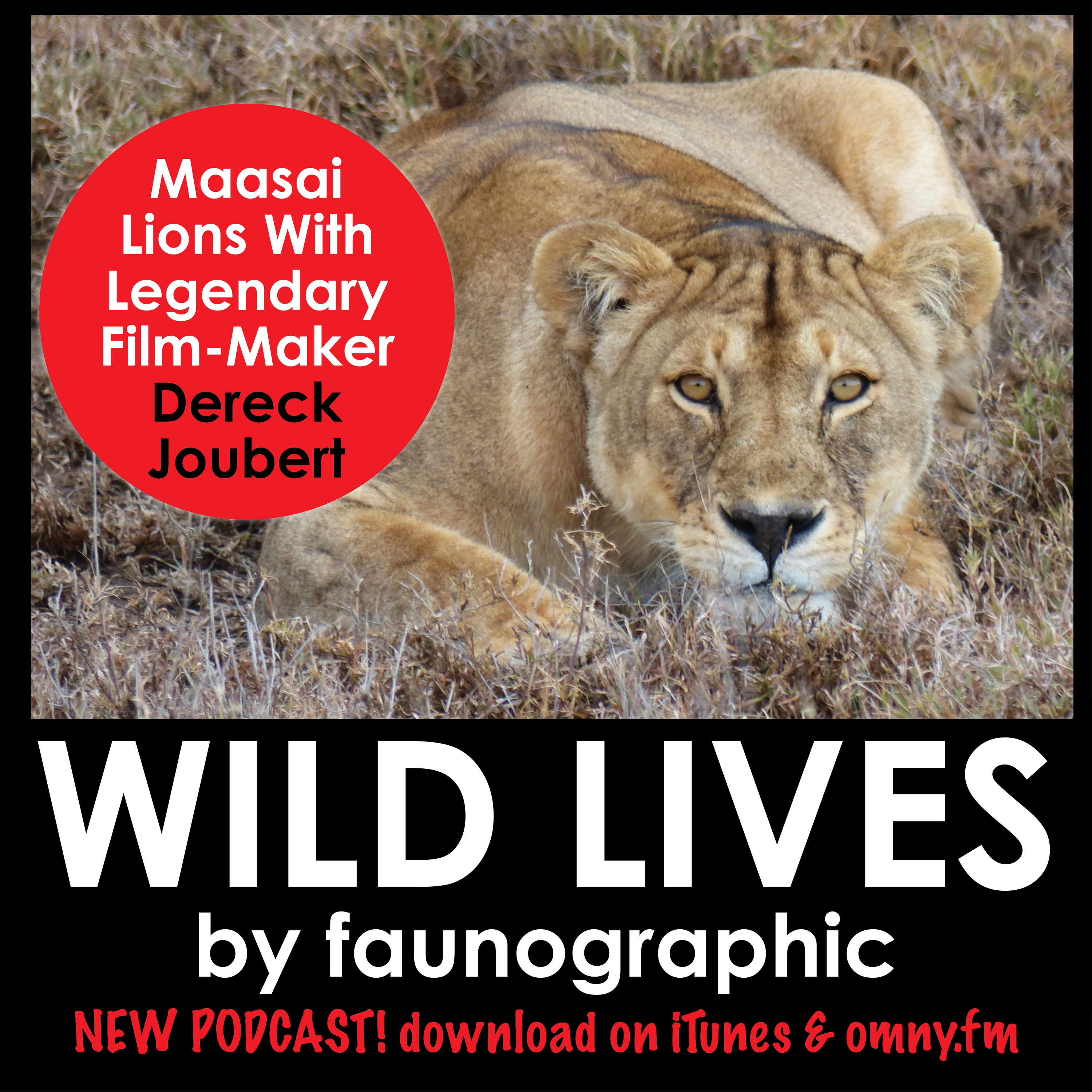 Dereck Joubert & The Maasai Lions