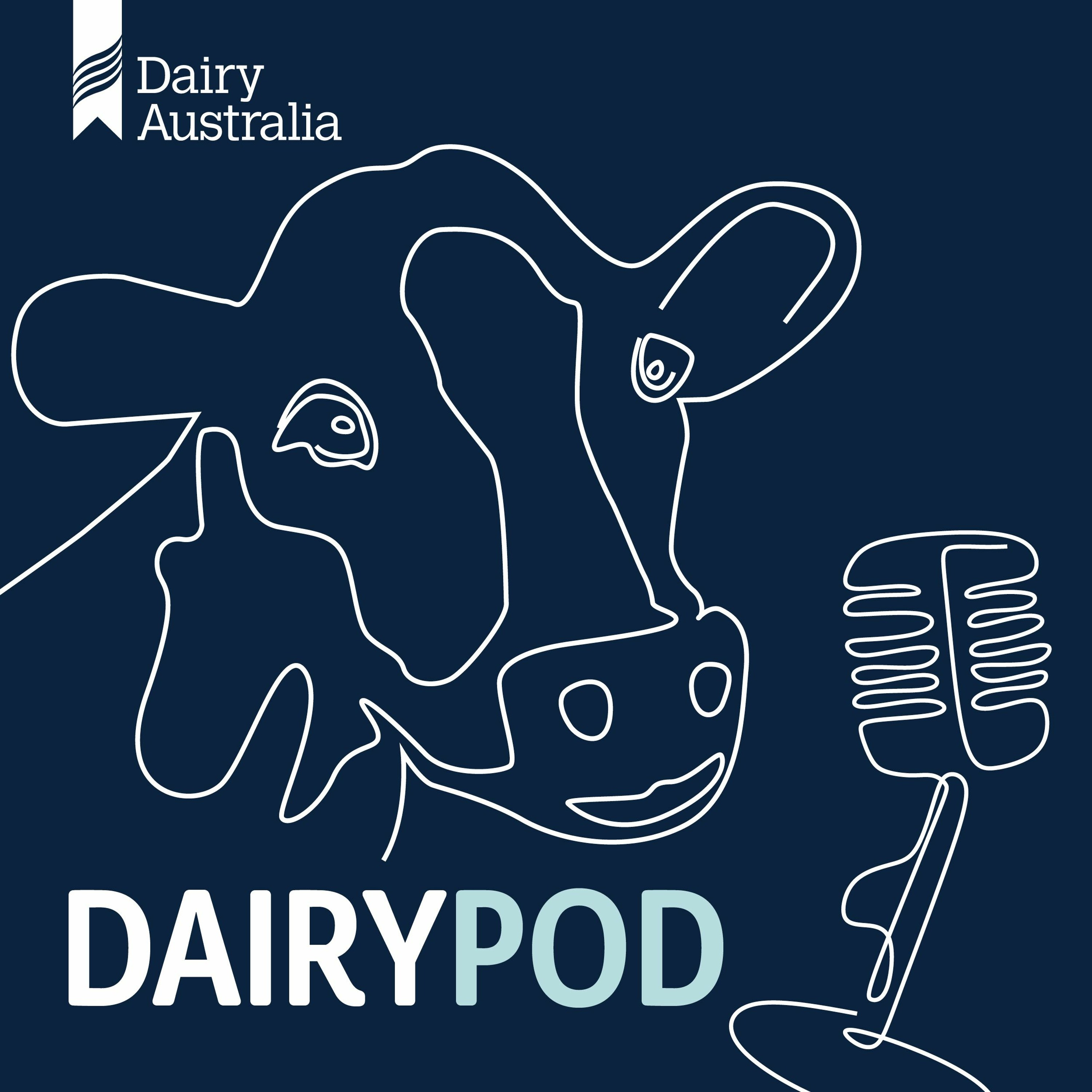 Podcast 50: How to run a leaner dairy business