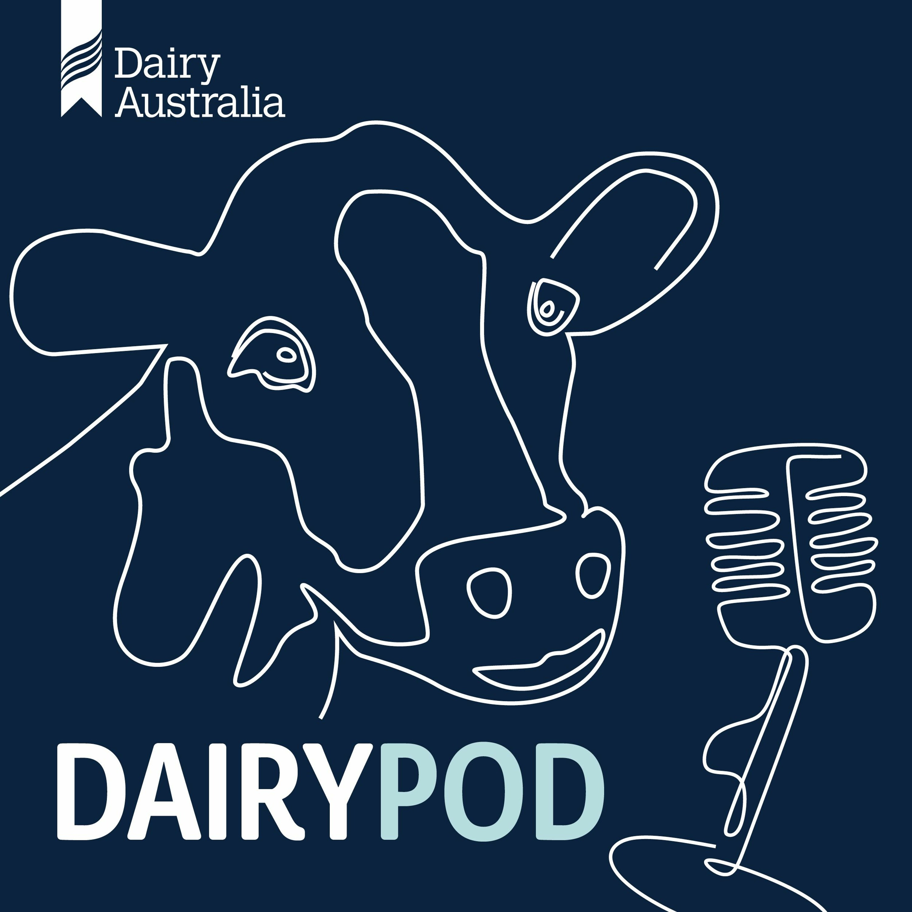 Podcast 41: How this TMR farmer achieves over 40L/per cow