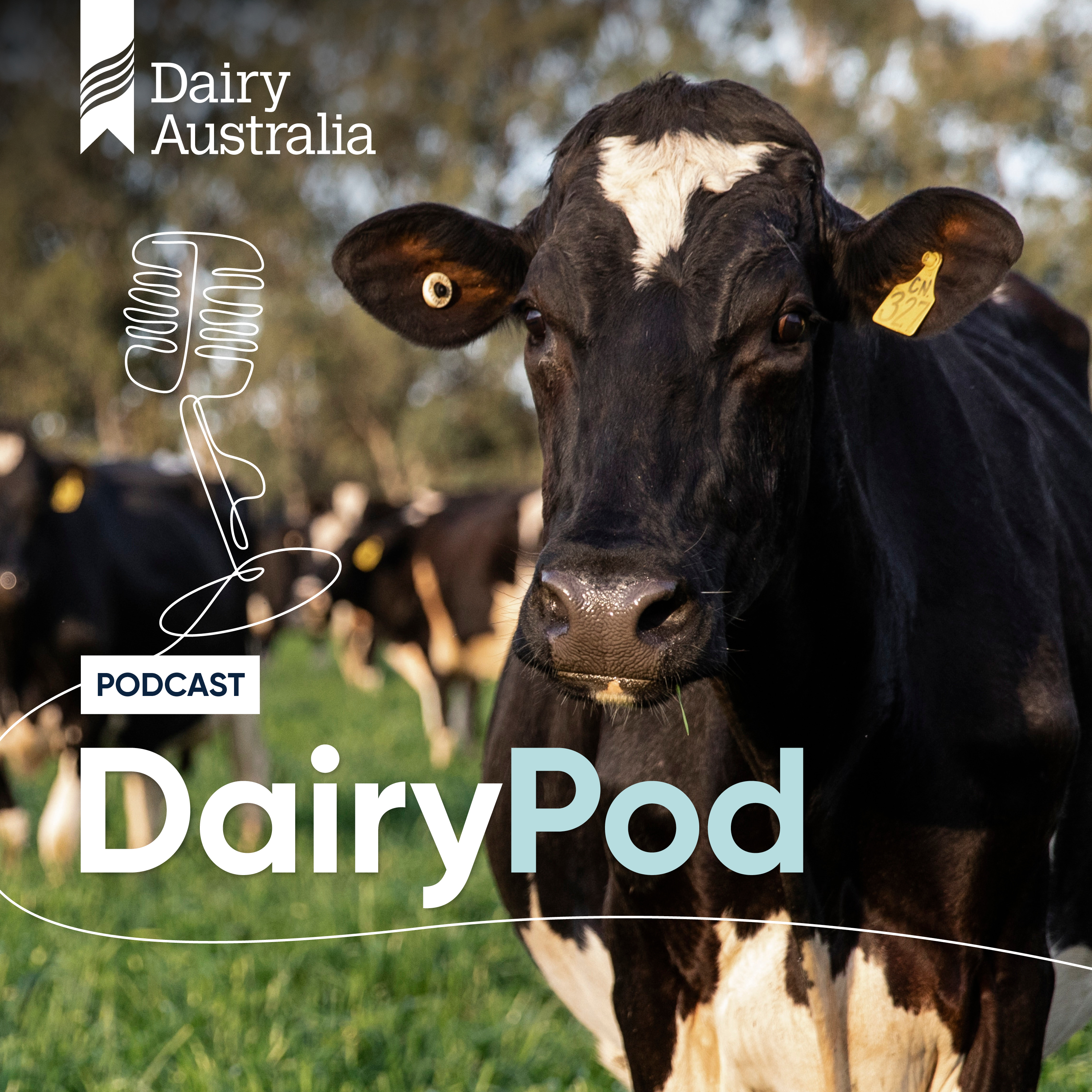 Australian dairy industry in focus