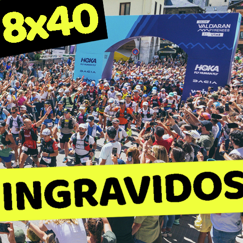 ingrAvidos 8x40 (05/06/24)