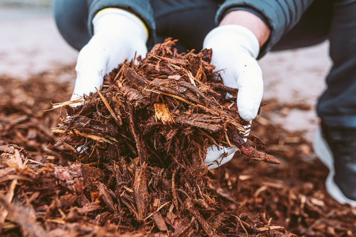 'Big mulch' still has us all in the palm of their hand and there is no escape. Am I Wrong?