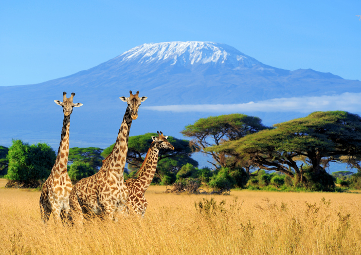 Jeff Belanger shares his story of climbing Mt. Kilimanjaro