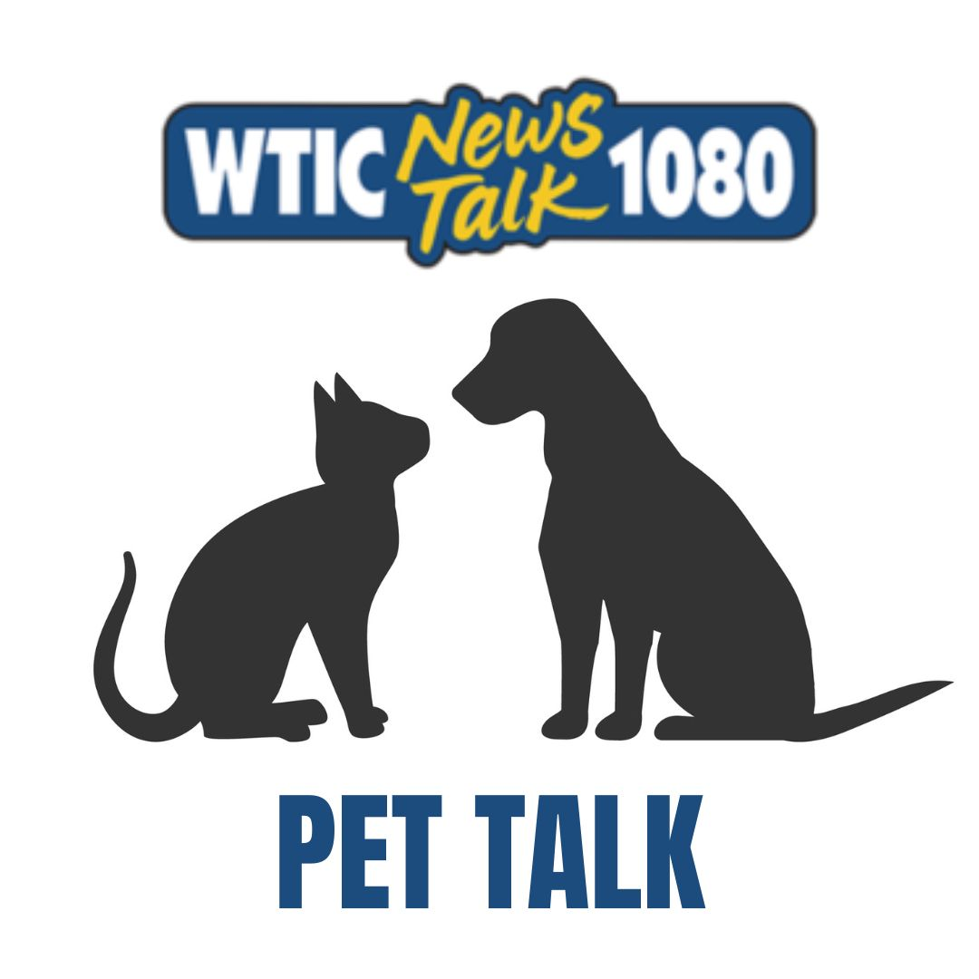 Pet Talk 2-17-24