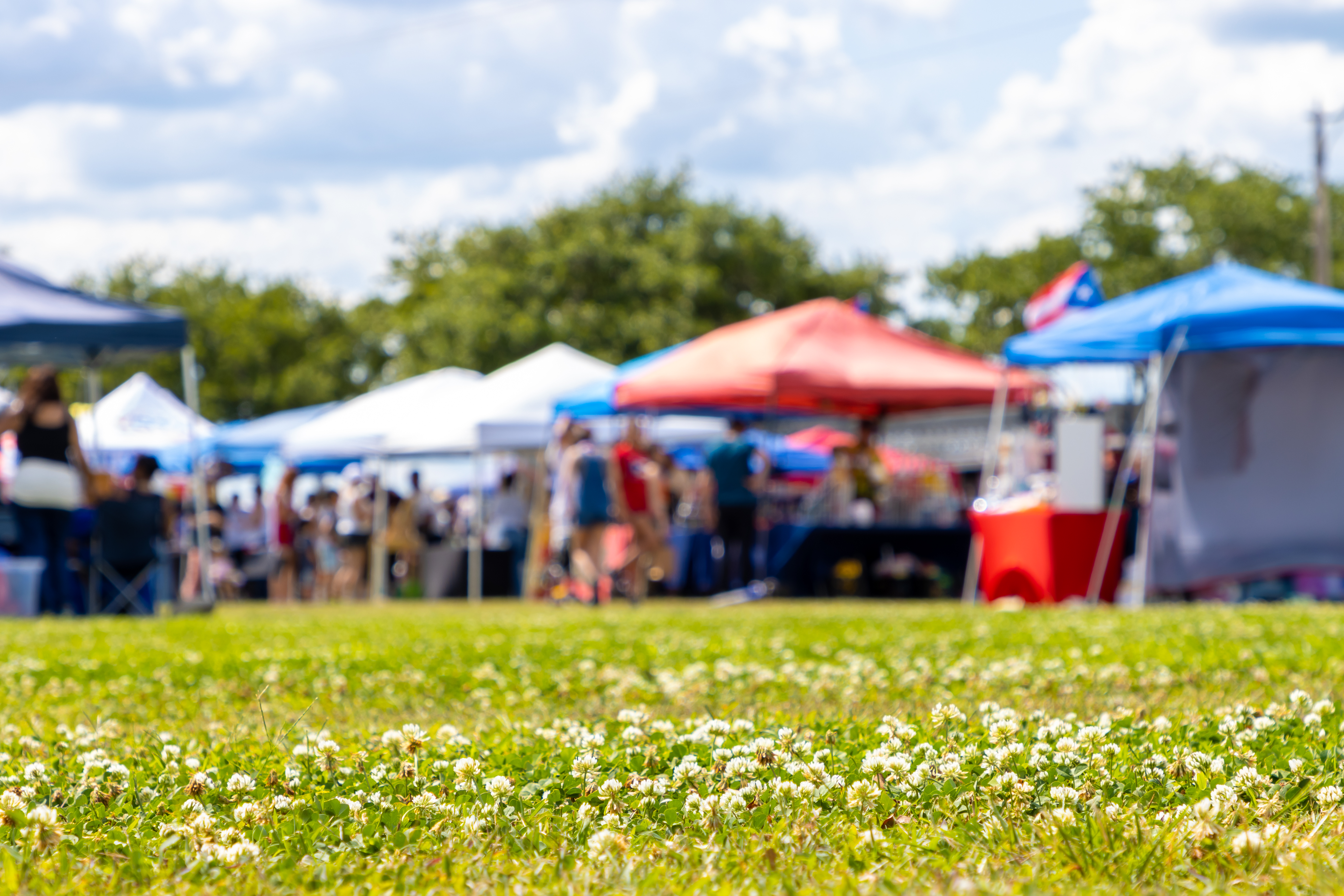 What is next for the Belle Clair Fairgrounds in Belleville?