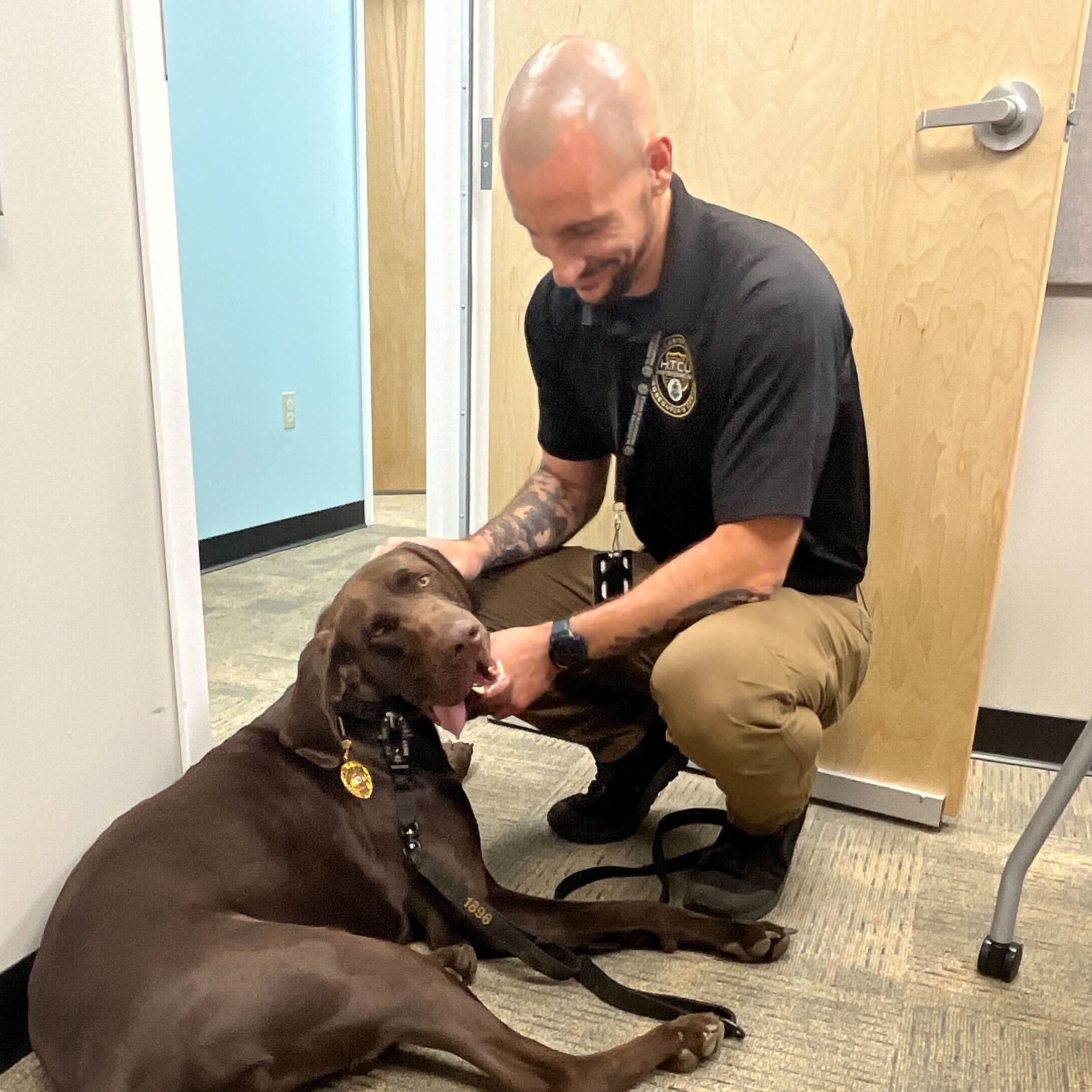 Get a dog that can do both: New South Jersey K-9 can sniff out electronics, comfort kids