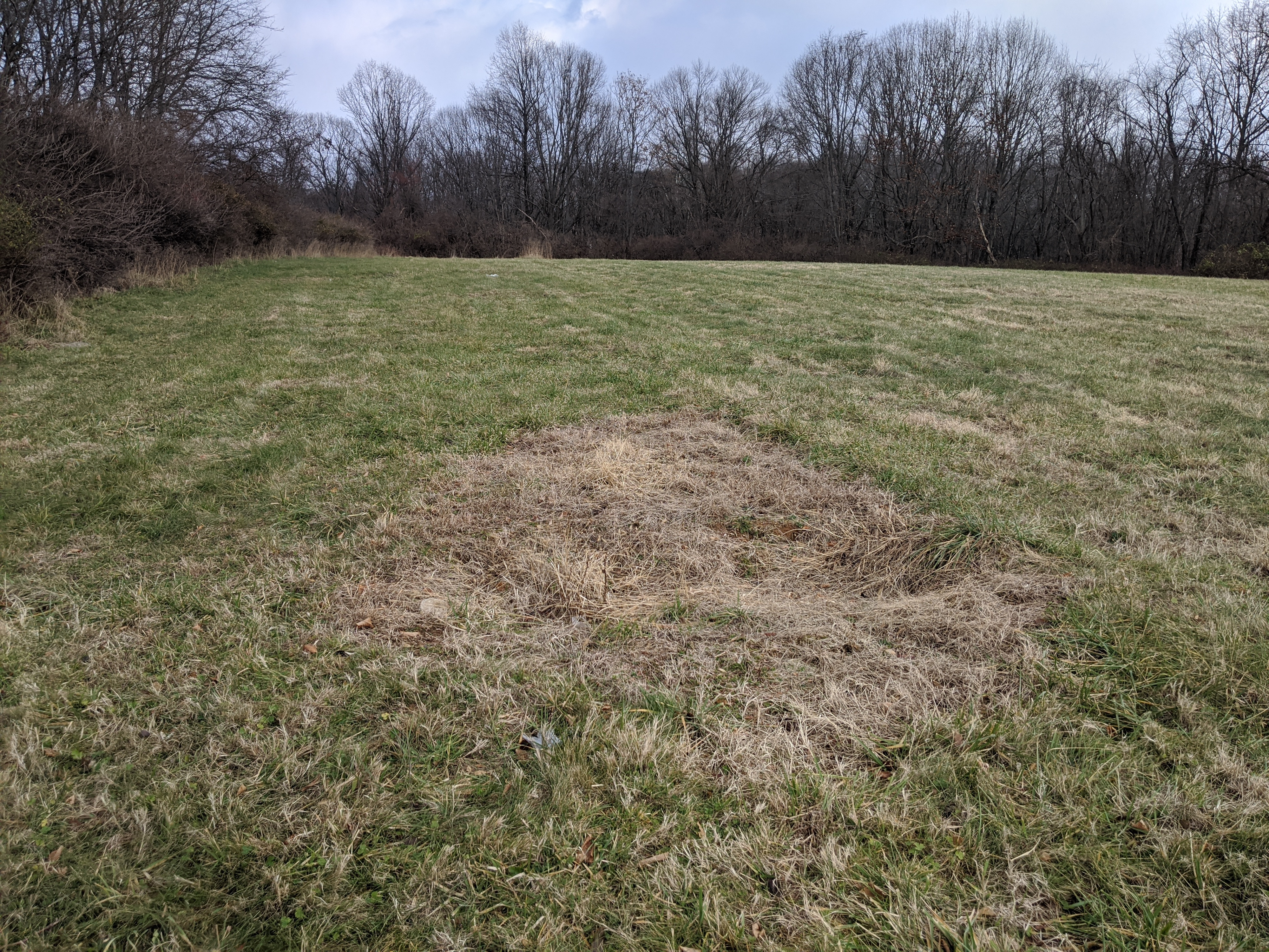 'They all deserve to have their name' — Work underway to ID all buried in Philly potter's field