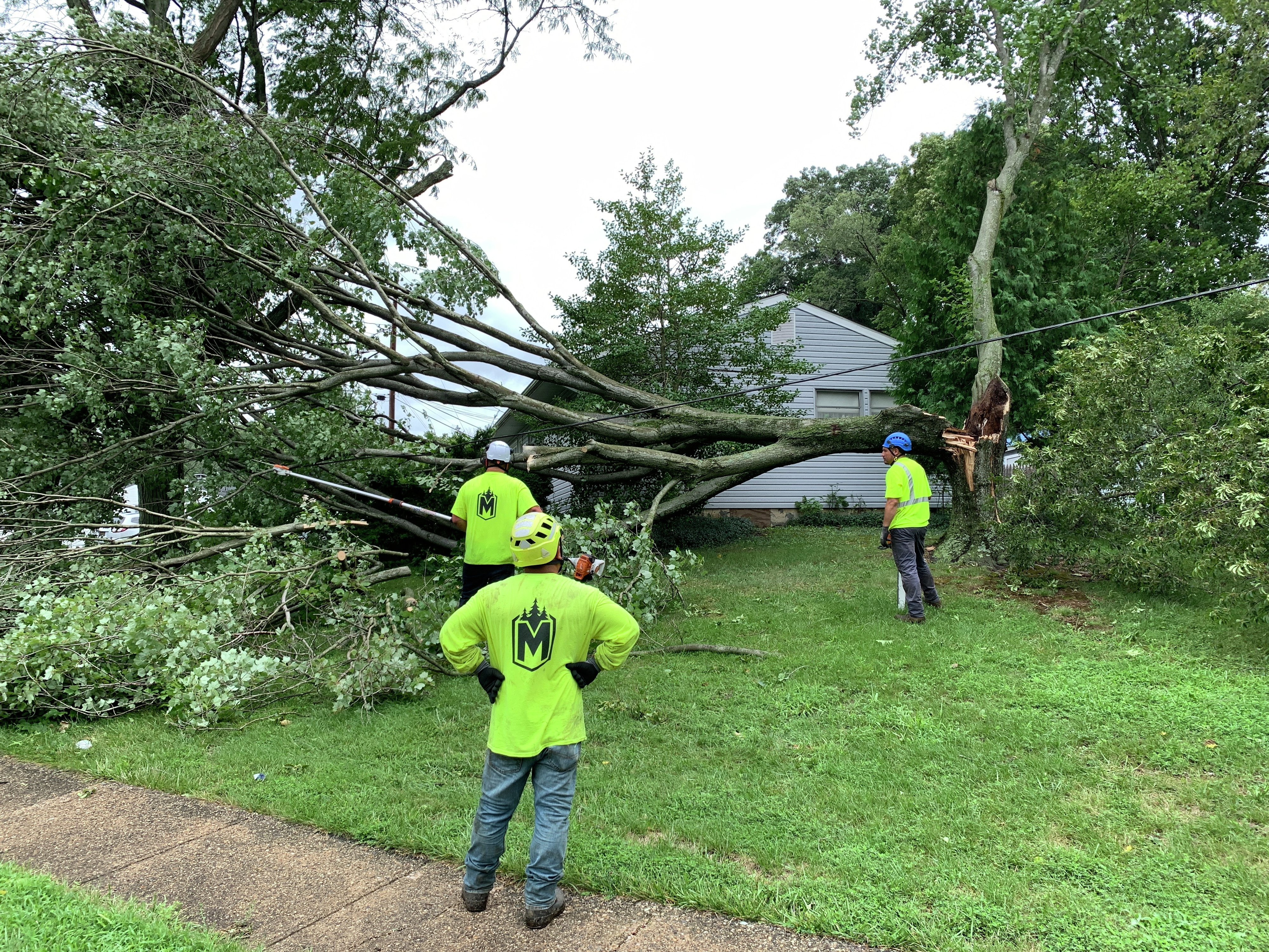 Tornado rips off part of Acme roof in New Castle, Del.