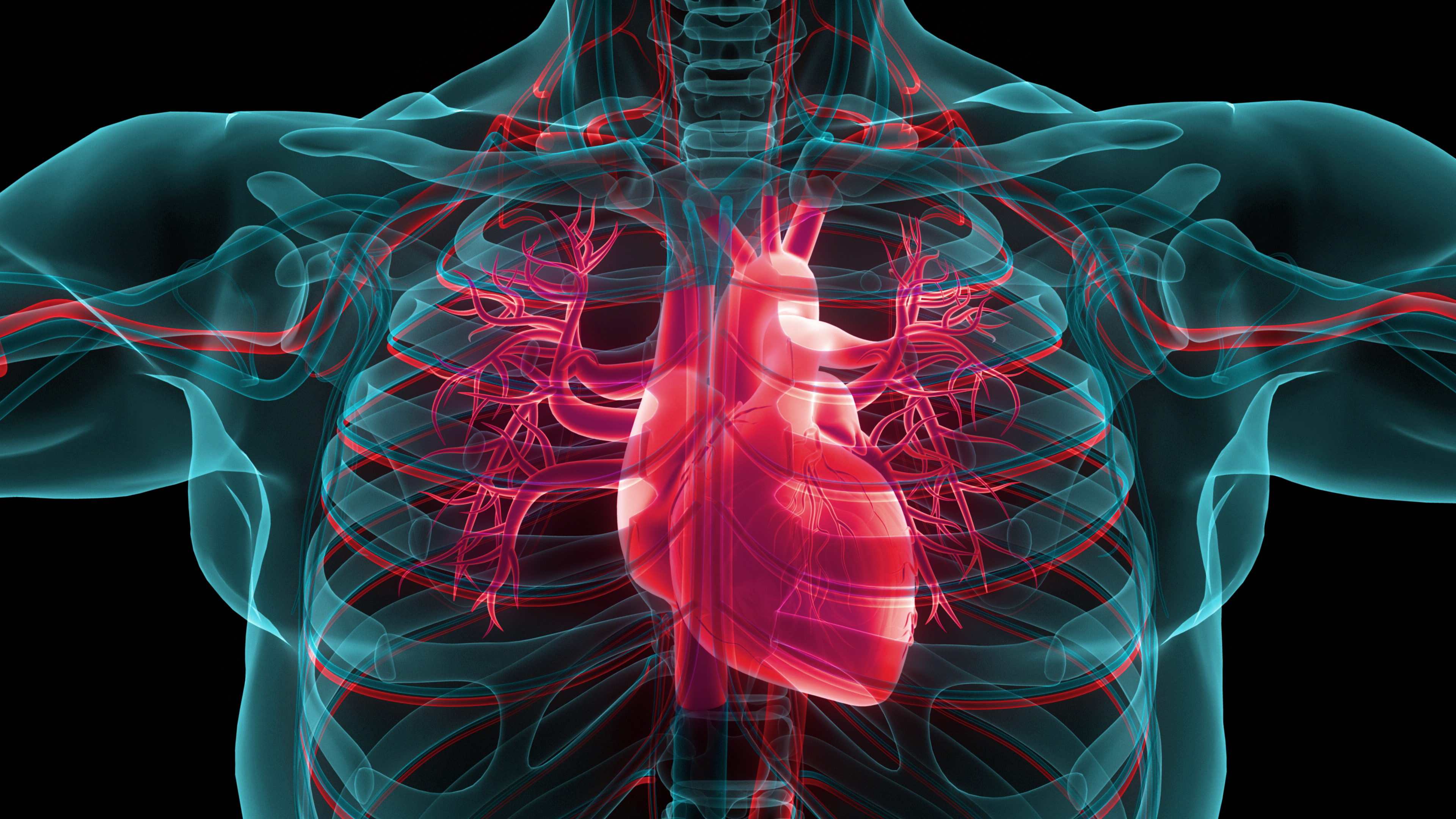 More Americans than previously recorded have Atrial Fibrillation (A-fib)