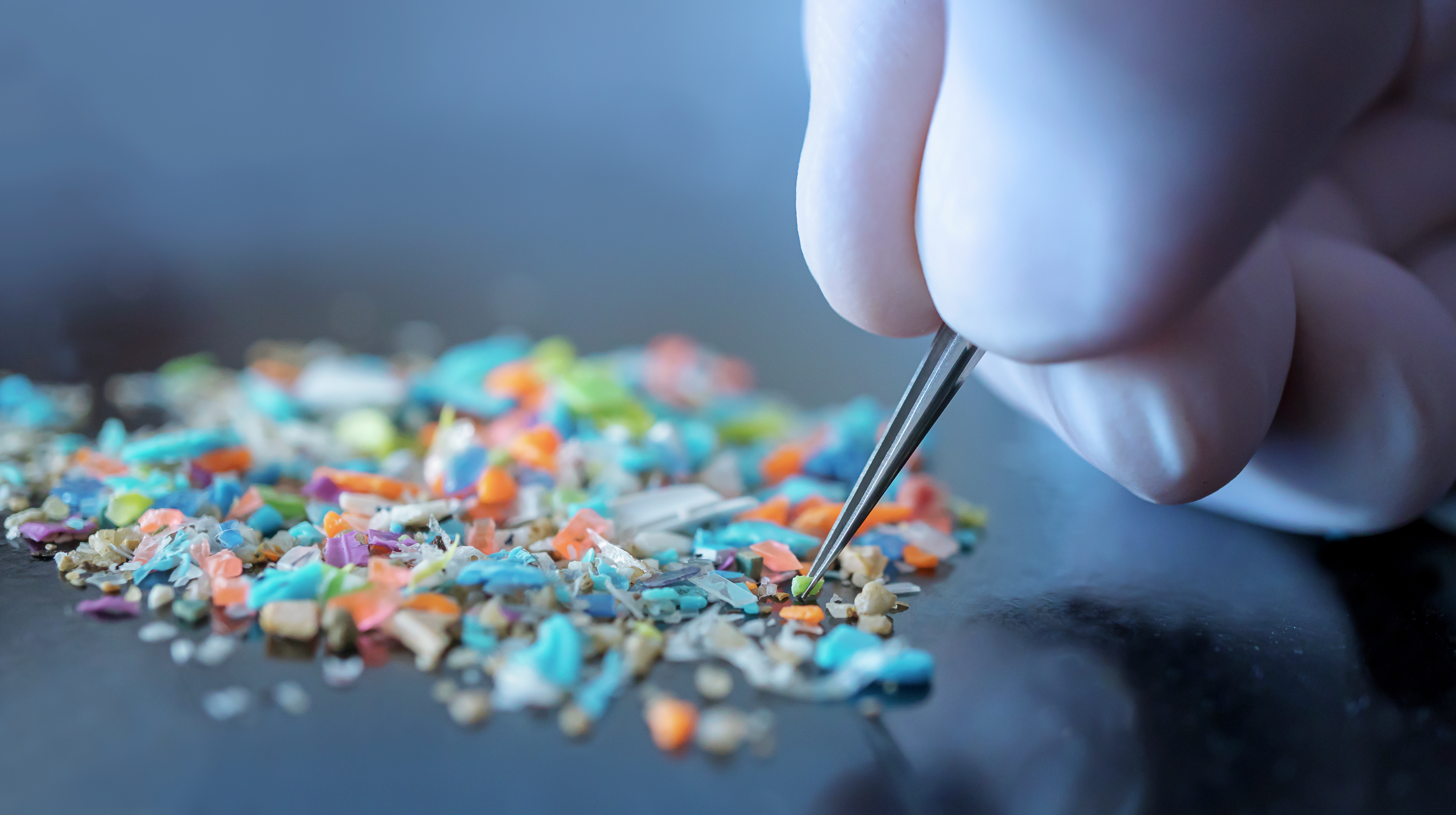 Microplastics proliferate in even the most sensitive of areas