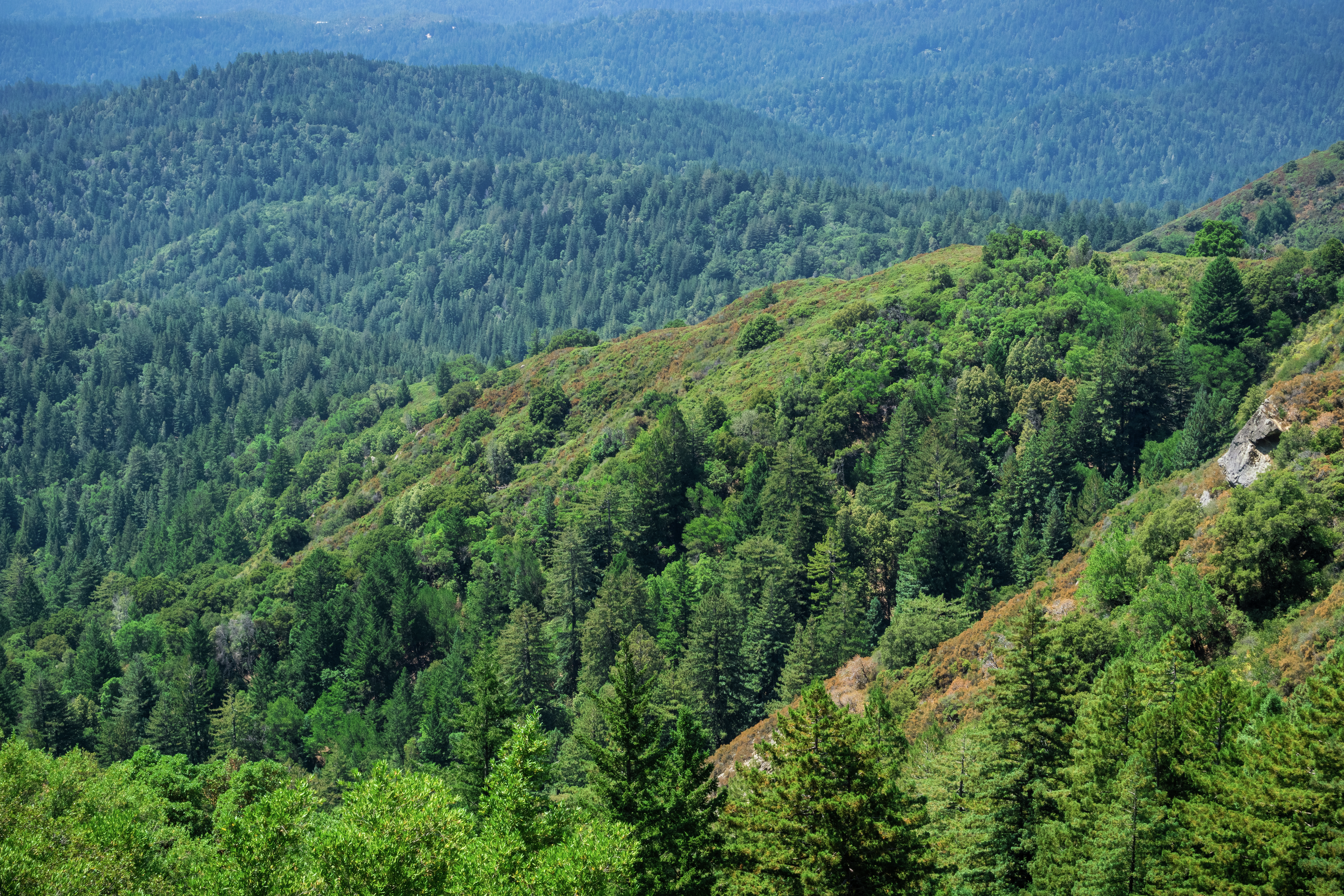 Doctors prescribe healing through hiking via 'Trails RX' program