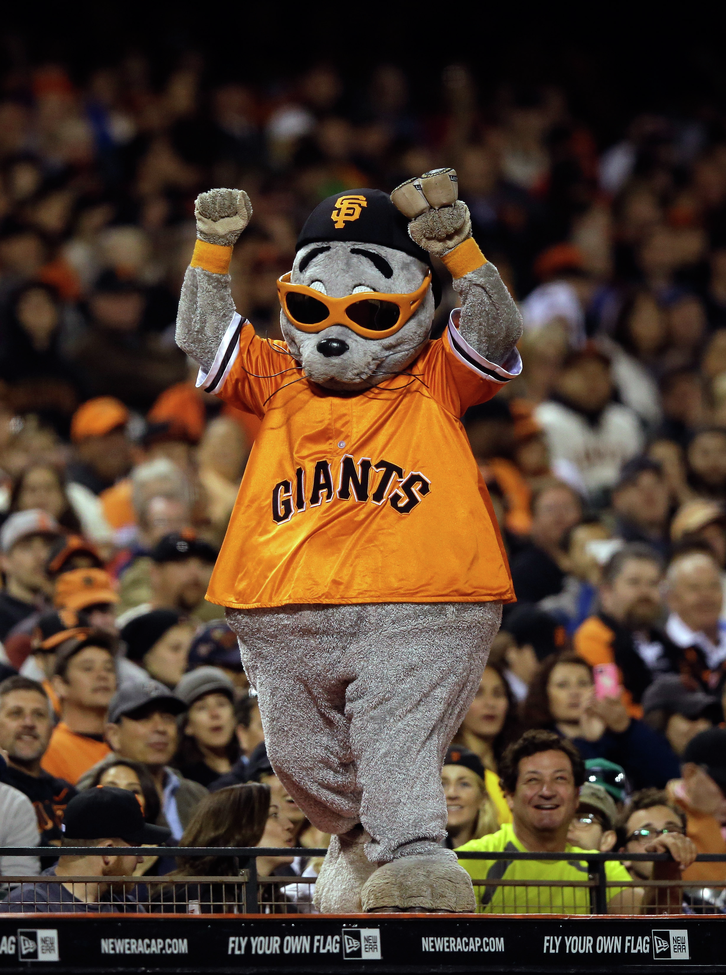 Lou Seal: Embarrassment to Icon