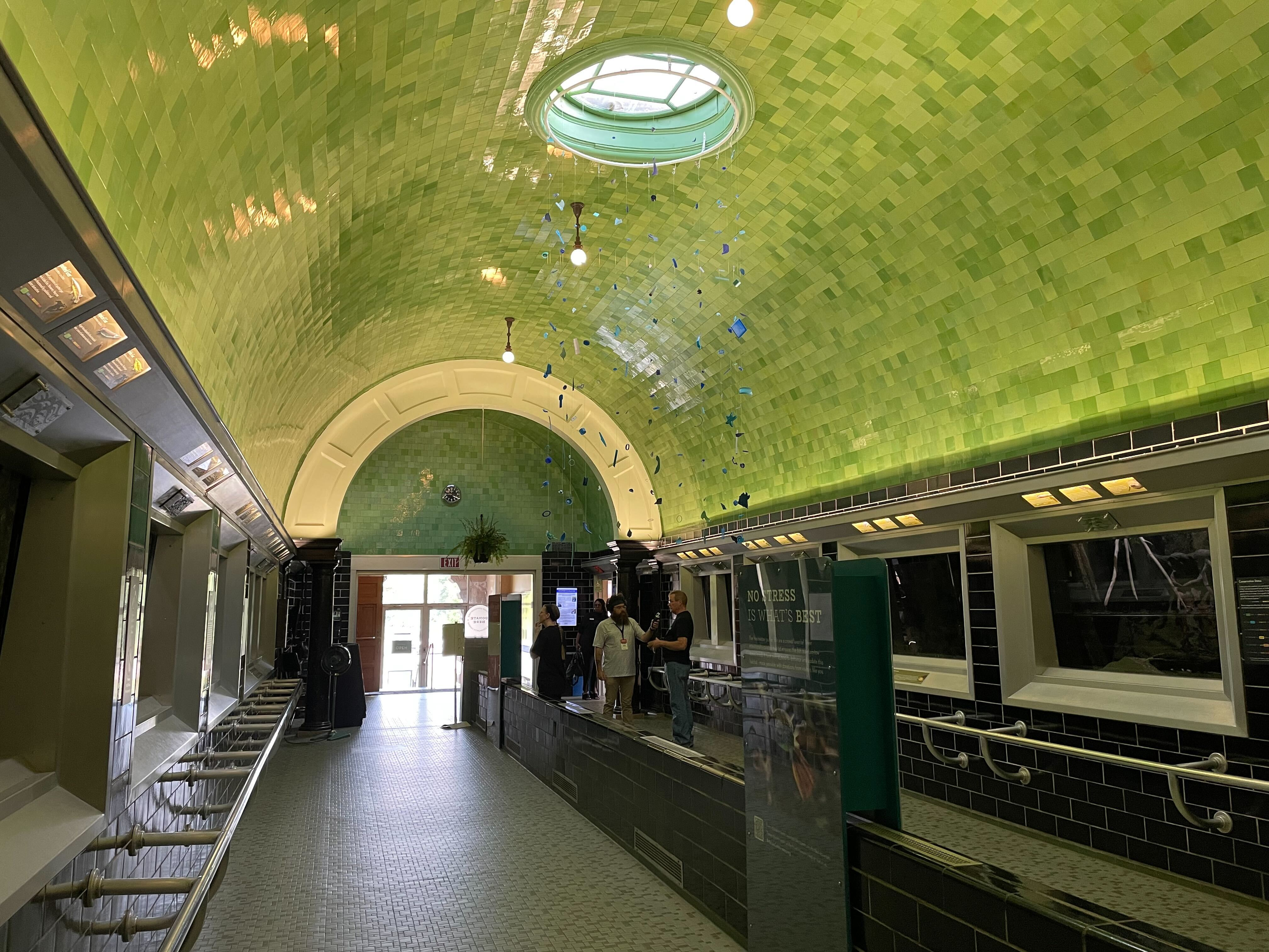 The secrets and treasures hidden inside the Belle Isle Aquarium — a true jewel of Detroit