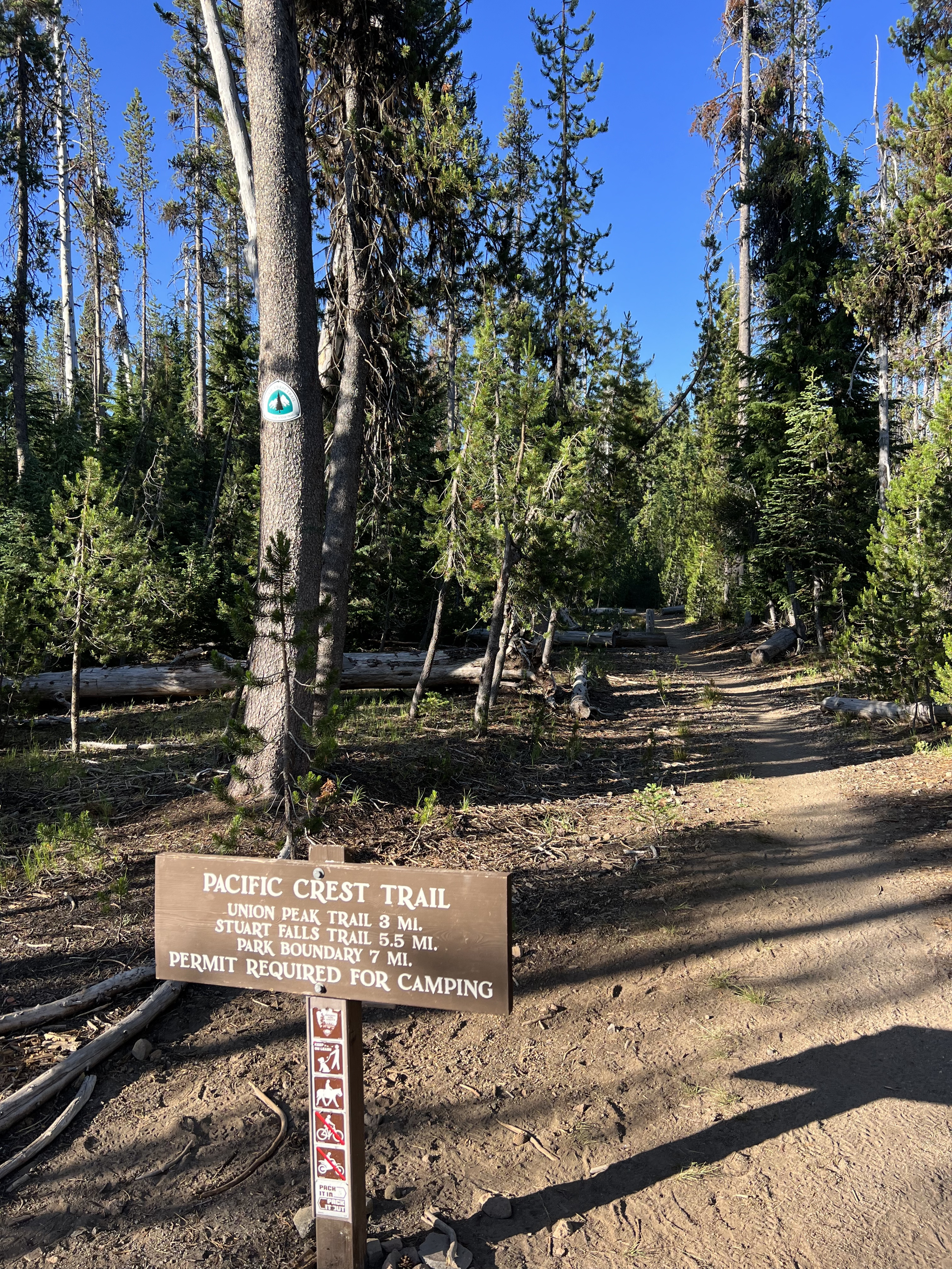 Braving the snowpack: Pacific Crest Trail hikers embrace the flip